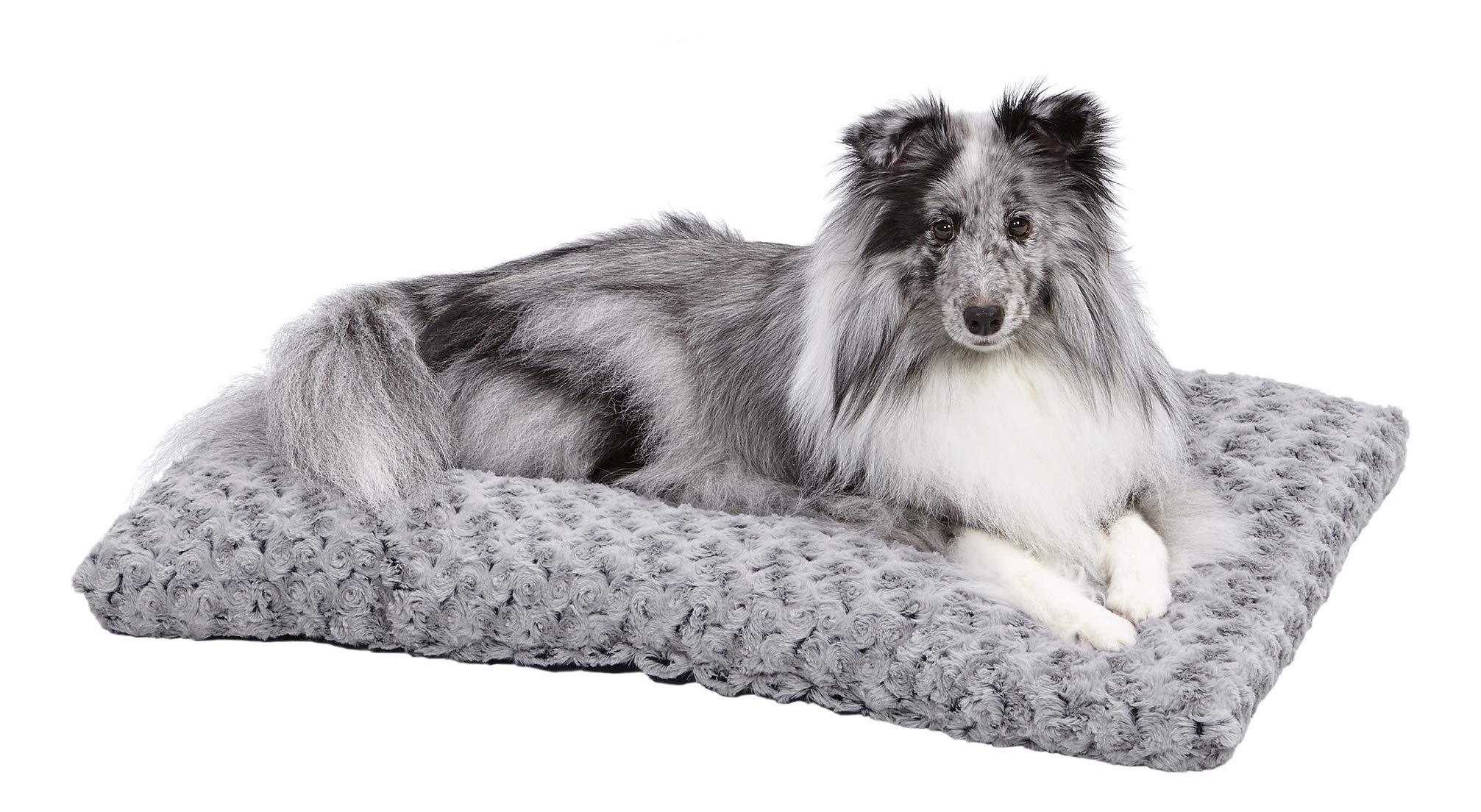 9 Best Dog Beds For A Pomeranians With FAQs SPIRE PET