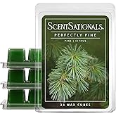 ScentSationals Perfectly Pine - Pine Scented Christmas Wax Melts 10oz | Pine &amp; Citrus Long Lasting Christmas Fragrance Melts for Scented Wax Warmers