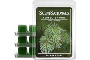 Scentsationals Wax Melts - Perfectly Pine Scented Fragrance - Wax Cubes Pack, Air Freshener - 10oz (24-Cubes)