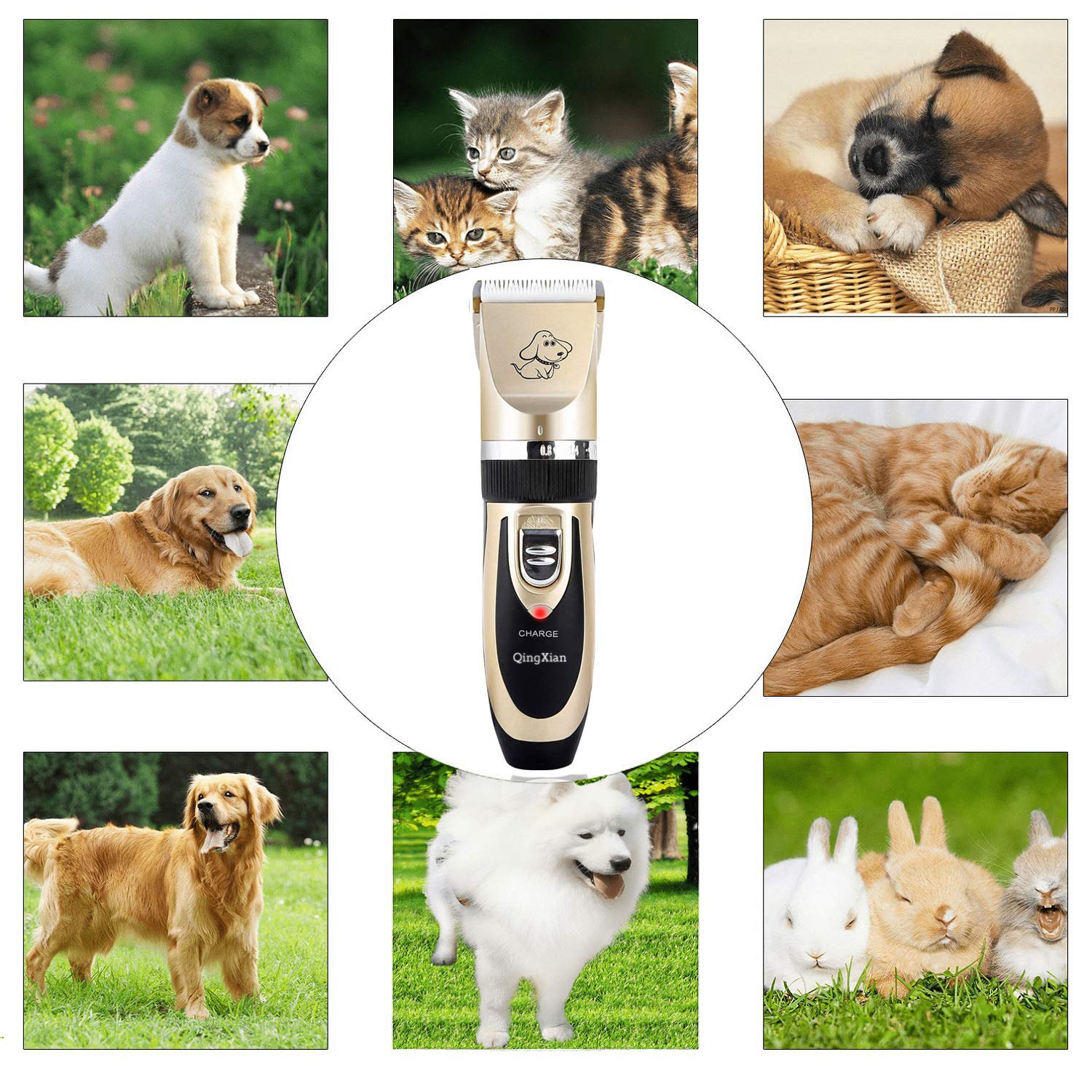 Qingxian Dog Clippers Pet Grooming Clipper Kits Low Noise Rechargeable Cordless Quiet Cat Dog Groomer Tool Professional Hair Trimmer Razor Blades with Combs, Scissor