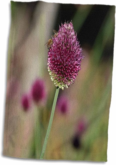 Amazon 3drose Ps花 Inspired Bee On Aピンククローバータイプ花 フローラル印刷 タオル 15x22 Hand Towel Twl 1 キッチンクロス オンライン通販