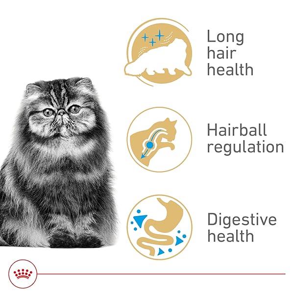 ROYAL CANIN FELINE BREED NUTRITION PERSIAN ADULT DRY CAT FOOD, 7 LB BAG
