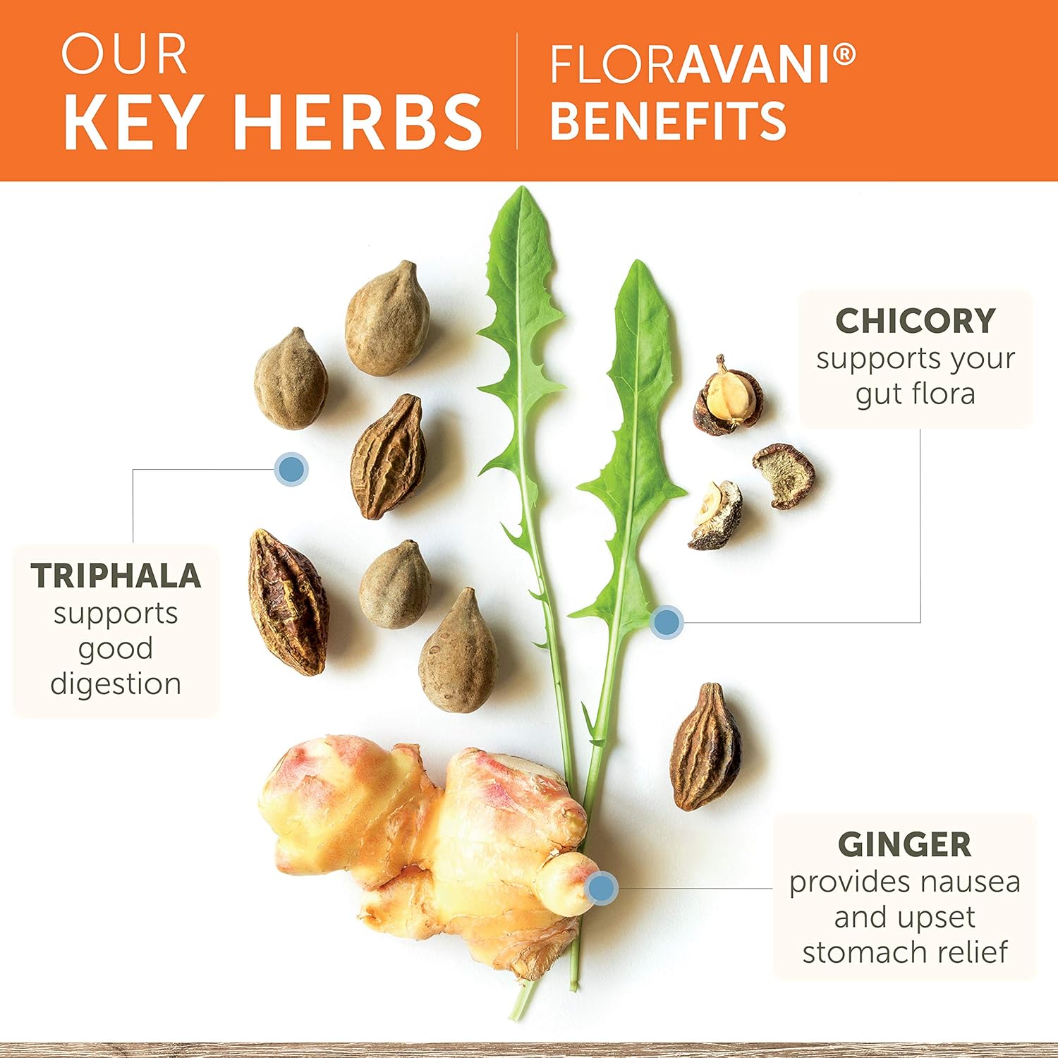 Himalaya FlorAvani, The Plant-Based Alternative to Probiotics Relieves Gas, Nausea, Heartburn & Bloating with Triphala, Chicory & Ginger. 271 mg, 90 Caps, 1 Month Supply: Health & Personal Care