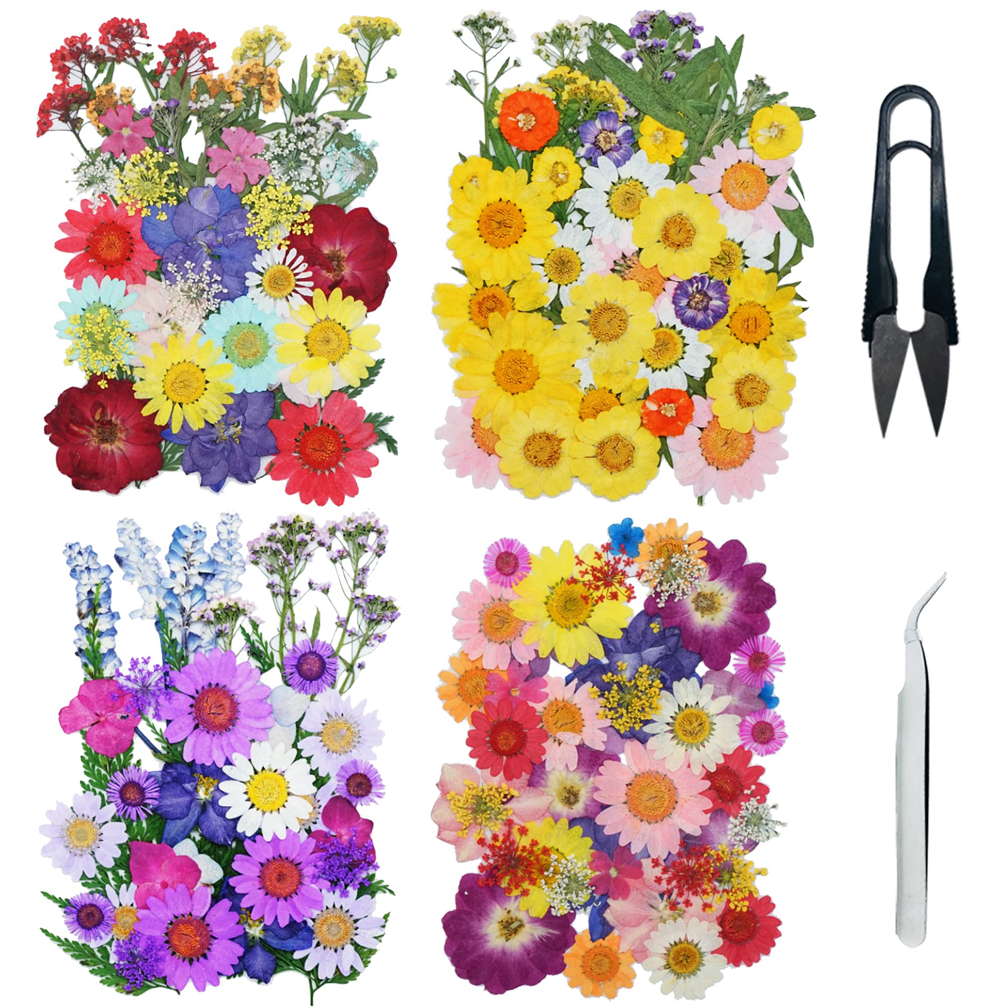Cayway 160PCS Real Pressed Flowers Dry with Tweezers and Scissors Set, Dried Pressed Flowers Colorful Real Pressed Flowers for Resin Scrapbooking DIY Art Crafts, Epoxy Resin Jewelry, Soap Making