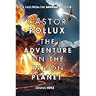 Castor Pollux: The Adventure on the Prison Planet: A tale of the Imperium universe (Imperium Saga: Castor Pollux Book 1)