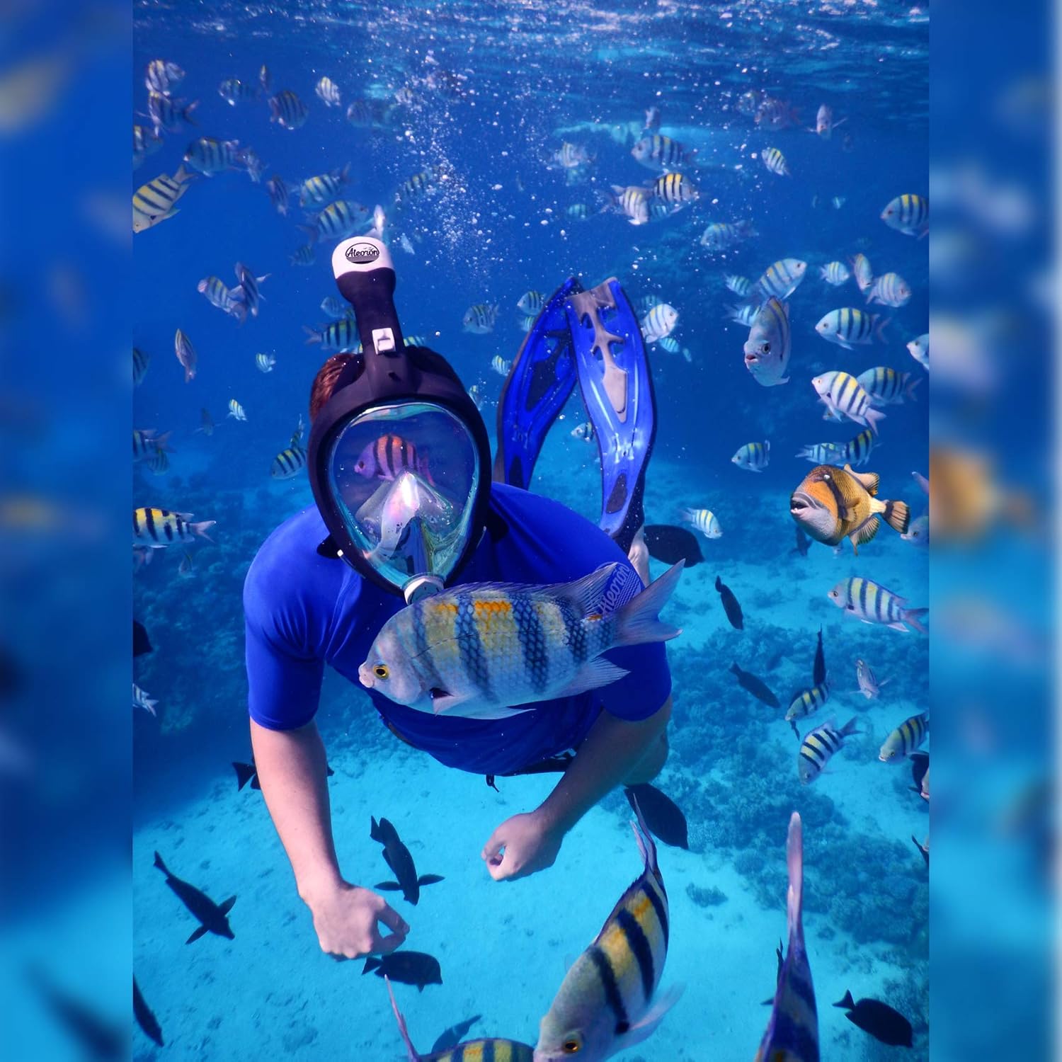 Aleoron - Foldable Full Face Snorkel Mask for Adults and Youth (Women & Men) - Anti Fog Snorkeling Mask Full Face with Action Camera Mount - UV Panoramic 180 Dive Mask Seaview Diving Mask Set : Sports & Outdoors