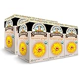 Newman's Own Organics Turmeric Ginger Herbal Tea, 20 Individually Wrapped Tea Bags (Pack of 6)