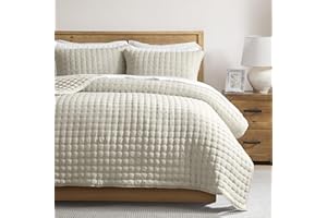 WDCOZY Beige King Size Quilt Bedding Sets with 2 Pillow Shams, Neutral Lightweight Soft Bedspread Coverlet, Quilted Blanket T