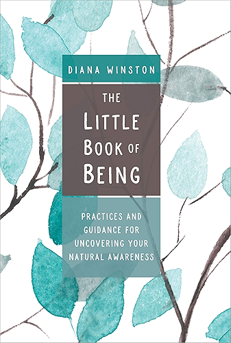 Download The Little Book of Being: Practices and Guidance for Uncovering Your Natural Awareness (English Edition) PDF