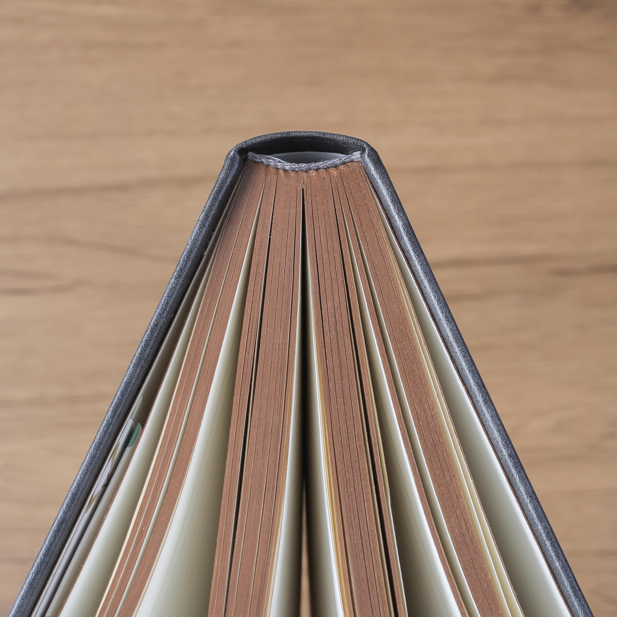 Thick Lined Journal Notebook with Pen, 360 Pages