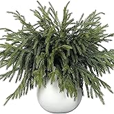 HUAESIN 8 Pcs Norfolk Pine Stems 19.6" Artificial Pine Branches Real Touch Norfolk Evergreen Branches Fake Christmas Greenery Stems Christmas Picks for DIY Garland Wreath Vase Home Indoor