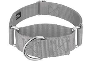 COUNTRY BROOK DESIGN Country Brook Petz 1 1/2 Inch Martingale Heavy Duty Nylon Adjustable Dog Collar for Small, Medium, Large Breeds - Vibrant 17 Color Selection (Silver, Medium)