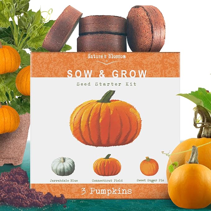 Nature�s Blossom Pumpkin Kit. Grow 3 Types of Pumpkins