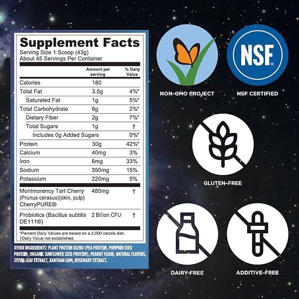 VEGA PROTEIN + RECOVERY, PEANUT BUTTER – 30G VEGAN PROTEIN, DAIRY & GLUTEN FREE, PROBIOTICS, NSF CERTIFIED, 67.2 OZ (45 SERVINGS)
