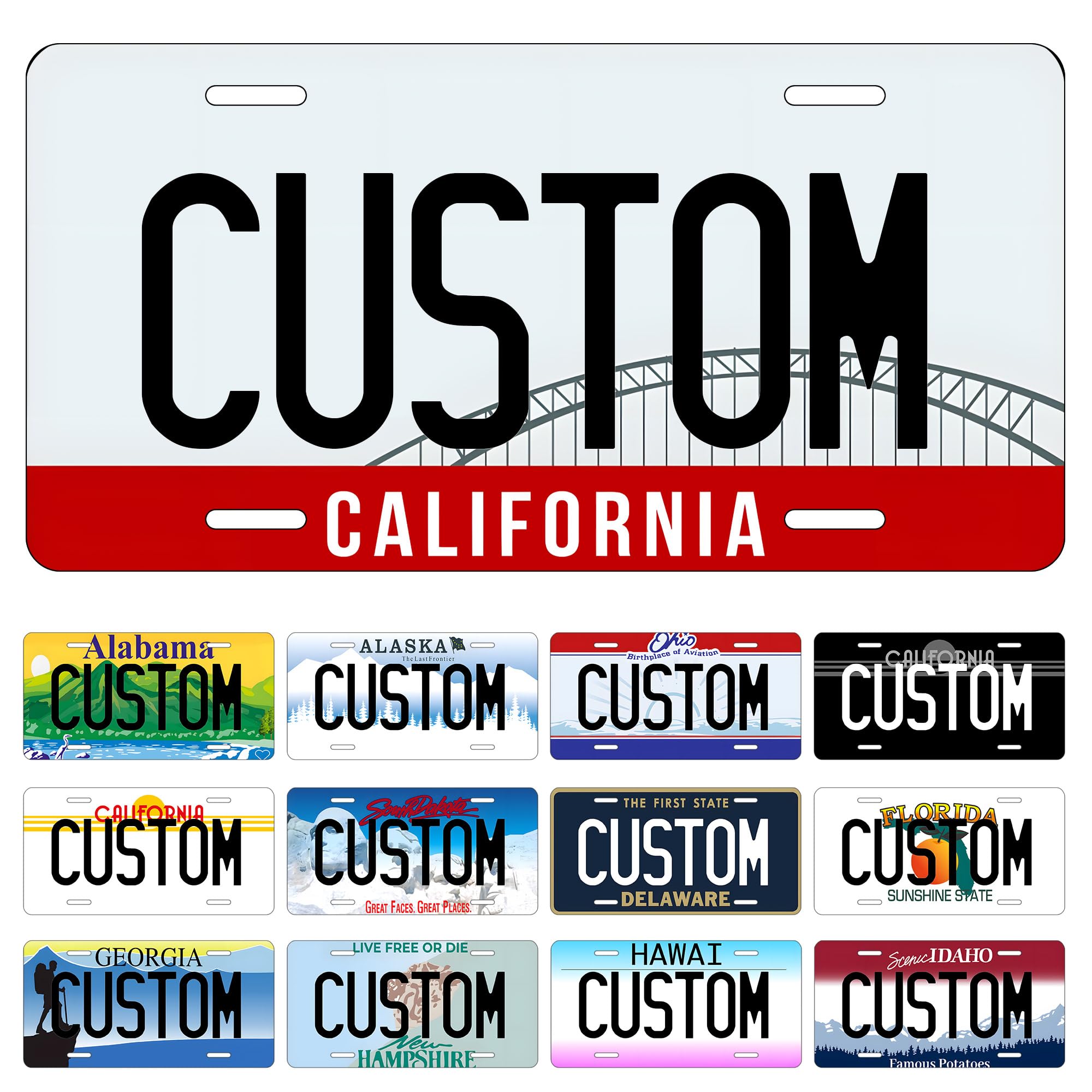 Metal Custom License Plate for Texas - 6x12 Inch