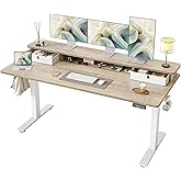 TIQLAB Standing Desk with Two Drawers, Stand Up Standing Desk Adjustable Height, Electric Sit Stand Table with Storage Shelf 