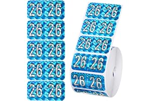 SINBANA 500 2026 Year Labels, 3/4 x 1-1/2 inch File Folder Stickers Color Coded Medical Chart Number Labels for Office Supplies (Holographic Blue)