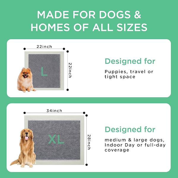 BEDSURE PEE PADS FOR DOGS, 22″ X 22″ PUPPY PADS 50 COUNT, SUPER ABSORBENT & LEAK PROOF, SMALL DOG TRAINING PADS QUICK DRY DISPOSABLE PETS POTTY PADS ODOR-CONTROL ACTIVATED CARBON & ECO GREEN MATERIAL