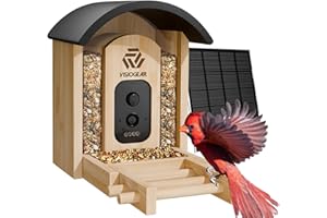 VISIOGEAR Bird Feeder with Camera, Smart Wild Bird Feeder for Outdoors with AI Identify, Solar Bird Feeder Watching Camera Auto Capture Bird & Real-time Notifications, Gifts for Bird Lover (Arch)