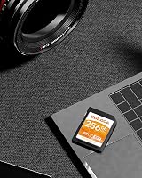 Ediloca 256GB SD Card UHS-I U3 V30 C10 95MB/s Read 90MB/s Write DSLR 4K view 9