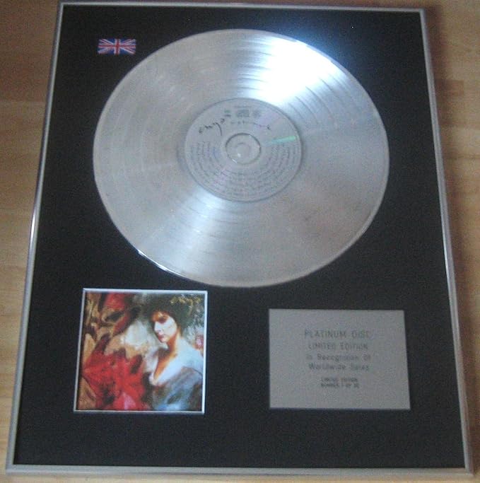 Quanto Si Guadagna Con Un Disco Di Platino