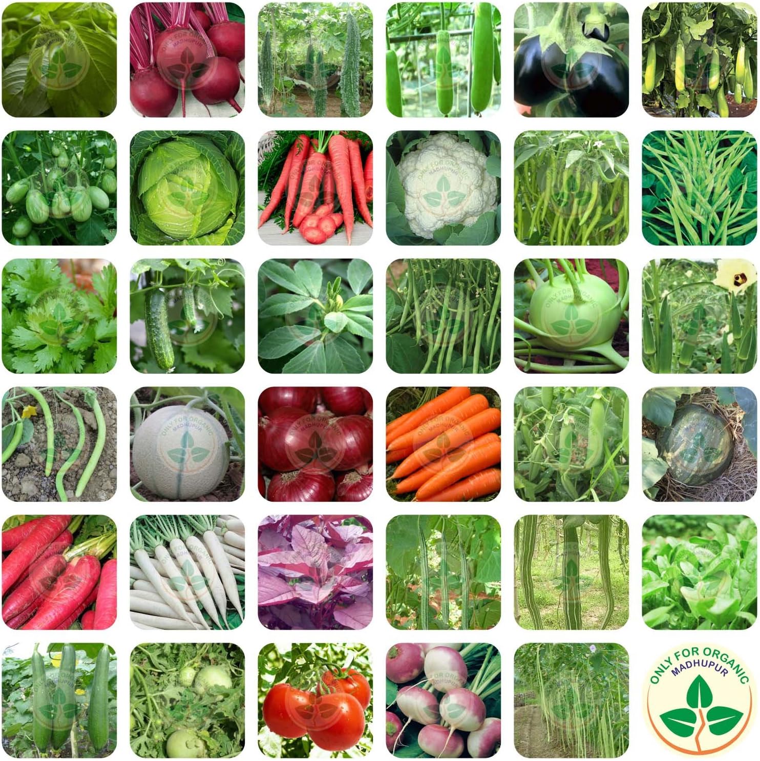 Only For Organic 35 variety of seeds (3025 + seeds) with 250g vermicompost
