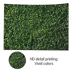Nature Spring 3D Green Leaves Theme Photo