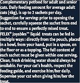 FELIX Joyables Salmon Liquid Cat Treat 4x10g – Creamy Low Calorie Dose view 3