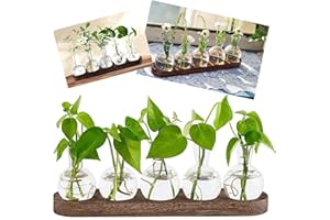 Plant Propagation Stations,Glass Propagation Vases for Plants Terrarium with Wooden Tray Plant Lover Gifts for Propagating Hy