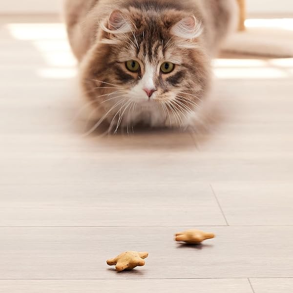 GOOD ‘N’ TASTY SPINNING STARS CAT TREAT, 1.5 OUNCES, 2-IN-1 TREAT & TOY MADE WITH REAL CHICKEN, CHICKEN LIVER & CATNIP, ENCOURAGES PLAYFULNESS & LOW CALORIE