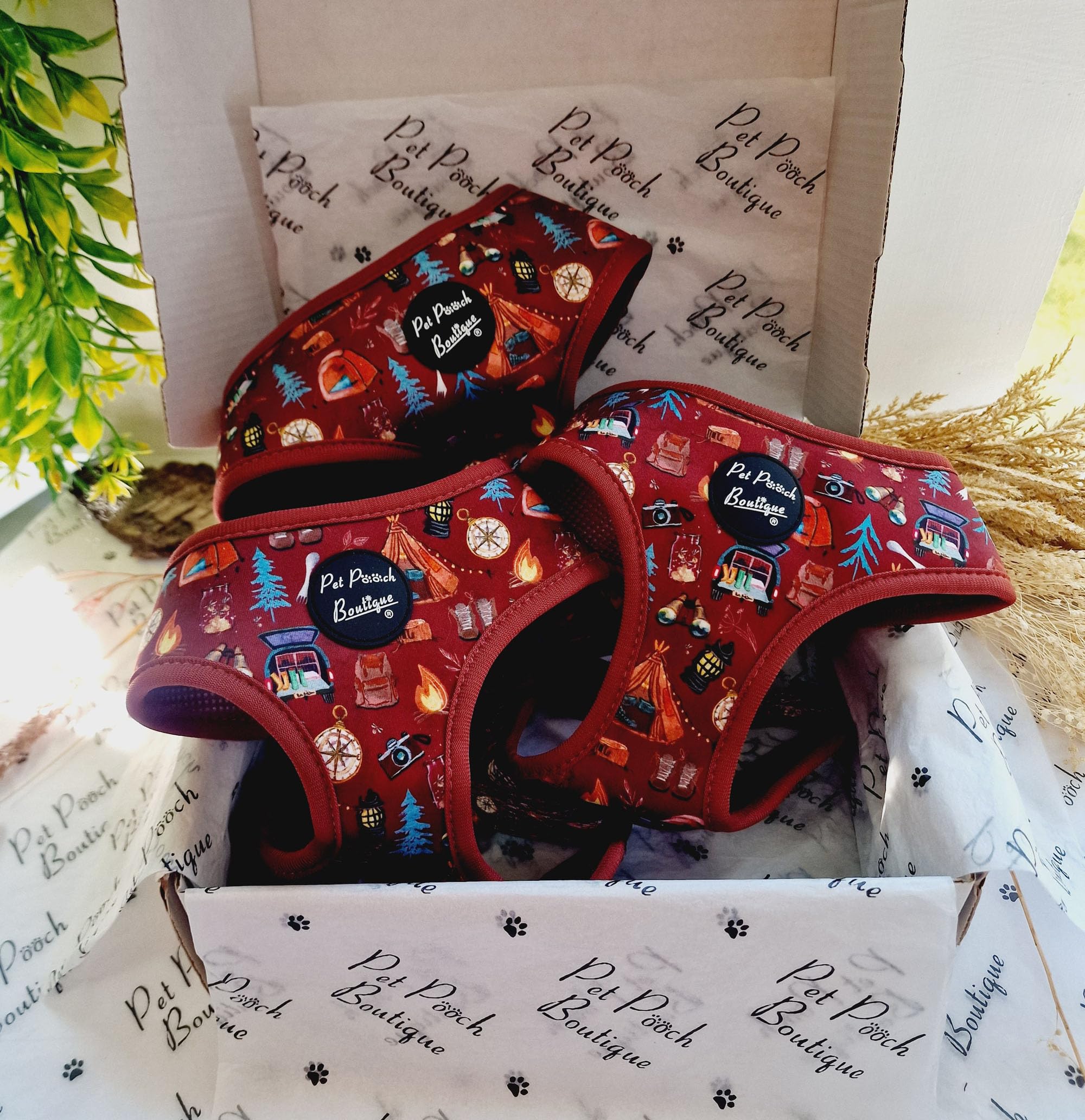 Great Adventure Dog Harness S