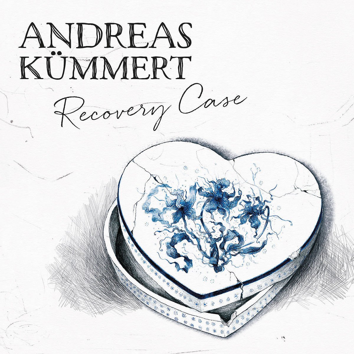 Recovery Case Andreas Kummert Amazon De Musik To simplify the execution and to have easier chords, press the special simplify button. recovery case