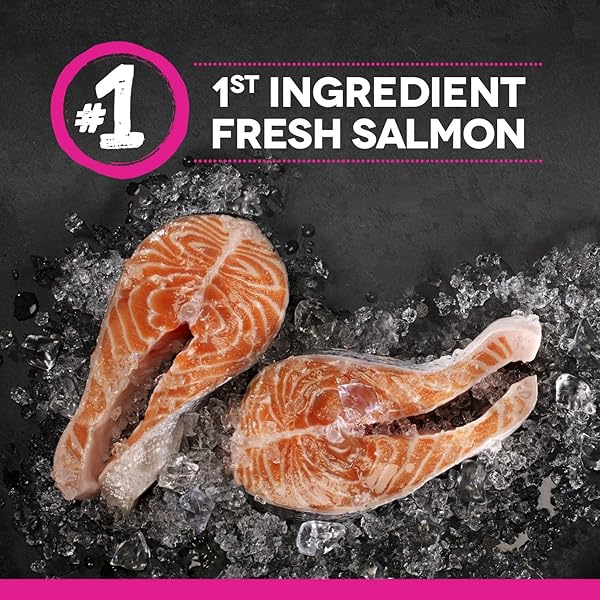 ZOE PURRABLES SALMON CAT TREATS, 75 GR