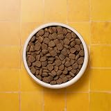 Pooch & Mutt Adult Superfood Complete Dry Dog Food Chicken 1.5kg view 5