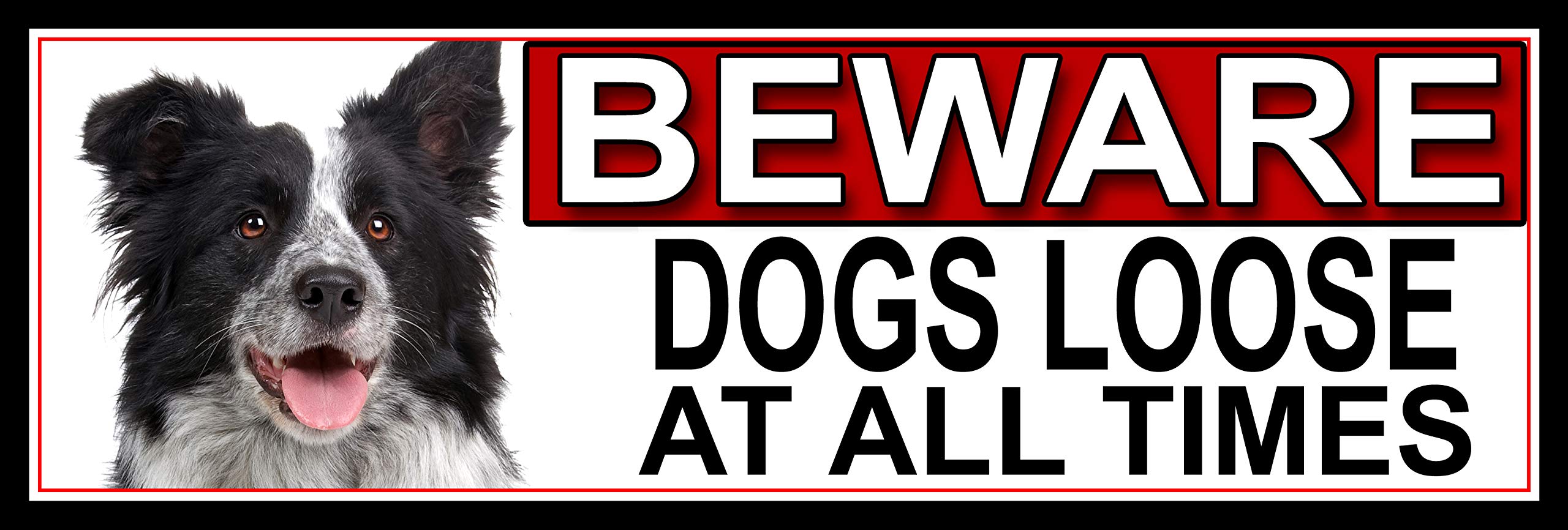 SHAWPRINT Border Collie BEWARE DOGS LOOSE AT ALL TIMES METAL GATE SIGN 266mm x 87mm. (369H2)