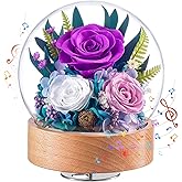 Eterfield Flowers for Delivery Prime, Valentine’s Day Preserved Roses Gifts for Women - Forever Flower in Glass Dome Birthday Gifts for Mom Wife Grandma Her (Purple, Sphere)