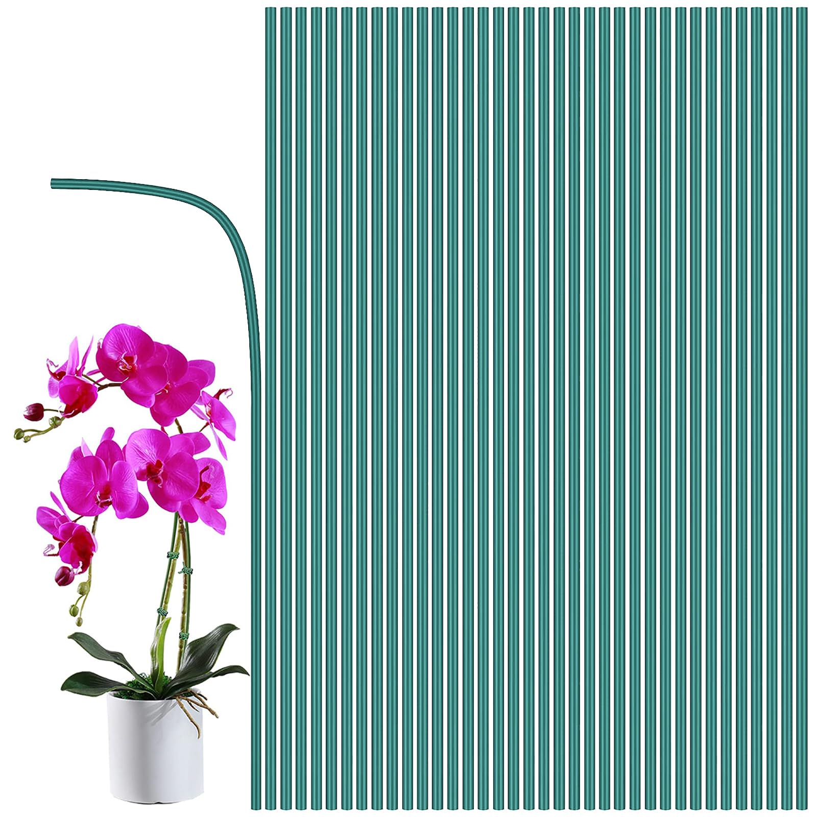 LAOJU Plants Stakes Plant Support Sticks 20PCS Metal Garden Canes Coated Steel Sticks Garden Stakes Suitable for Flowers Potted Plants Vine and Climbing Plants