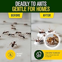 Green Guard Pest Control Spray - Indoor & Outdoor