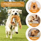 Newthinking No Stuffing Dog Toys 5 Pack Squeaky Plush Indestructible view 5