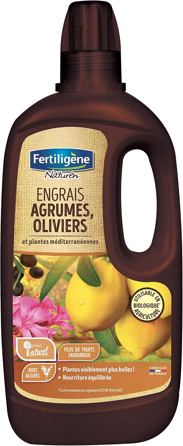 Fertiligène Engrais Plantes Vertes Prêt à L'Emploi 1L + Engrais Bio Agrumes & Plantes Méditerranéennes 400ml - Pack Entretien Facile