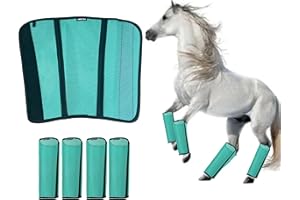 ANGETRA Mesh Horse Fly Boots Set of 4, Loose Fitting Shoofly Leggings for Horses with Breathable & Adjustable, Fly Leg Wraps for Horses Stop Annoying Stomping, Stay-on Comfortable Shoo Fly Boots (Mint)