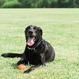 Chuckit! Tennis Ball Large 7.3 cm Compatible with Launcher Dog Toy view 3