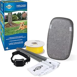 pet safe yard max