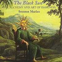 The Black Sun: The Alchemy and Art of Darkness: Carolyn and Ernest Fay Series in Analytical Psychology