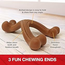 Nylabone Ergonomic Hold Wishbone Power Chew Toy for