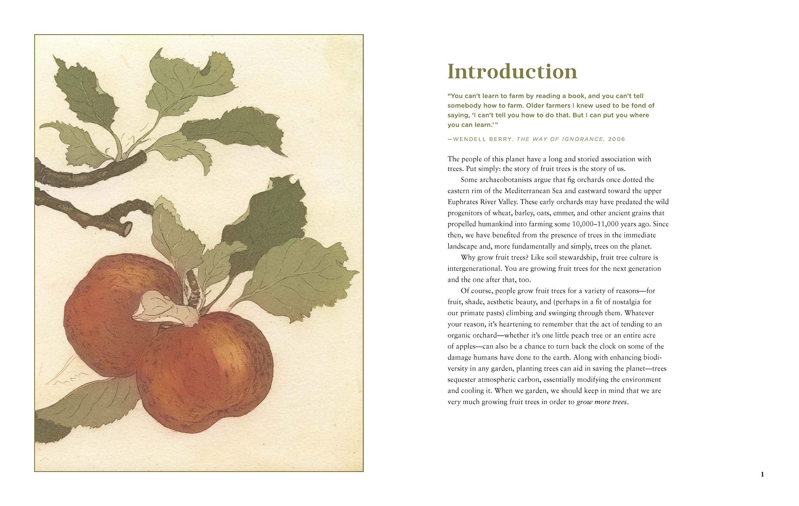 Fruit Trees for Every Garden: An Organic Approach to Growing Apples, Pears, Peaches, Plums, Citrus, and More Fruit Trees for Every Garden: An Organic Approach to Growing Apples, Pears, Peaches, Plums, Citrus, and More Fruit Trees for Every Garden: An Organic Approach to Growing Apples, Pears, Peaches, Plums, Citrus, and More Paperback Kindle