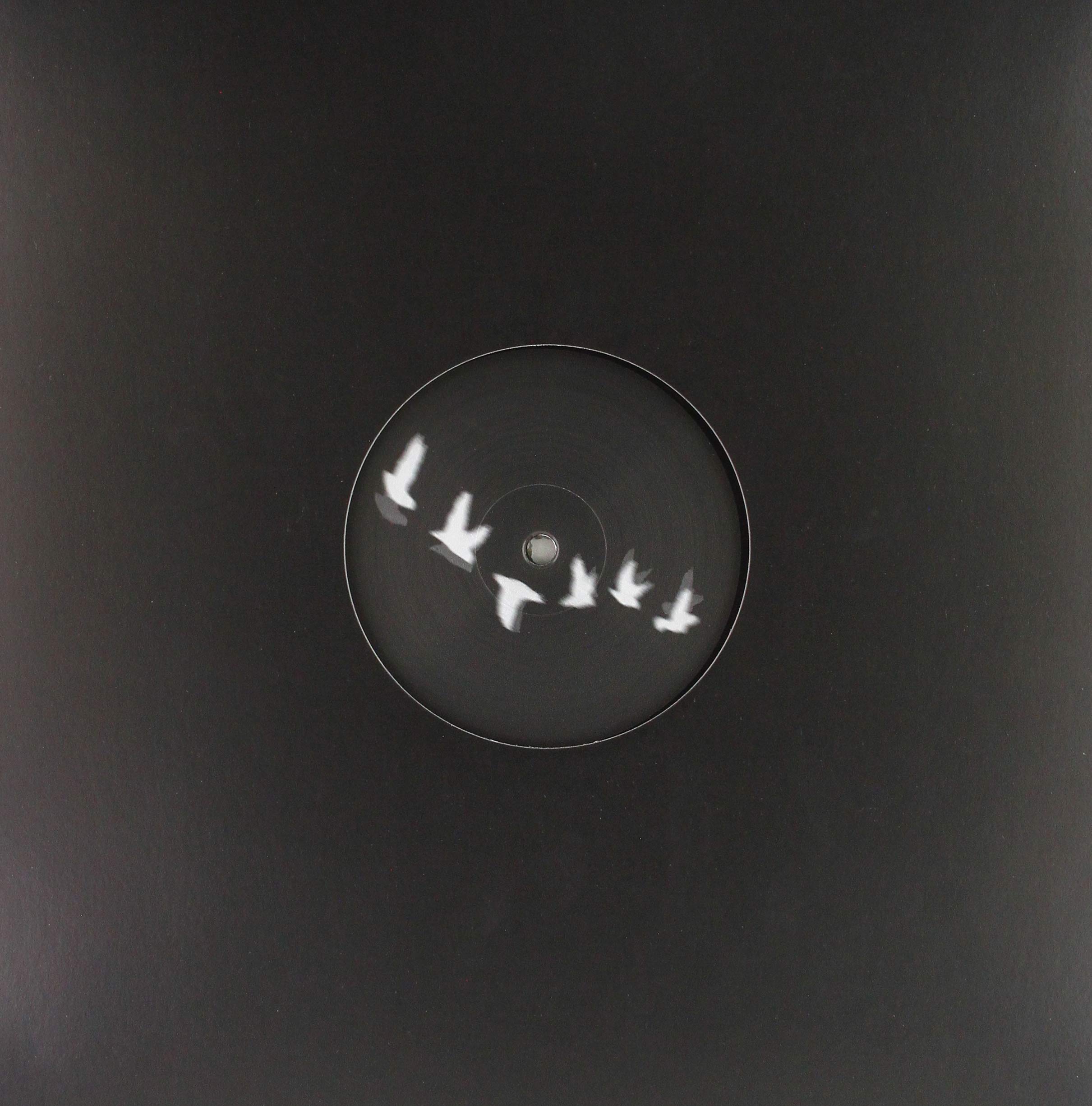 Feeling U, Feeling Me (Jan Kincl Versions) [VINYL]