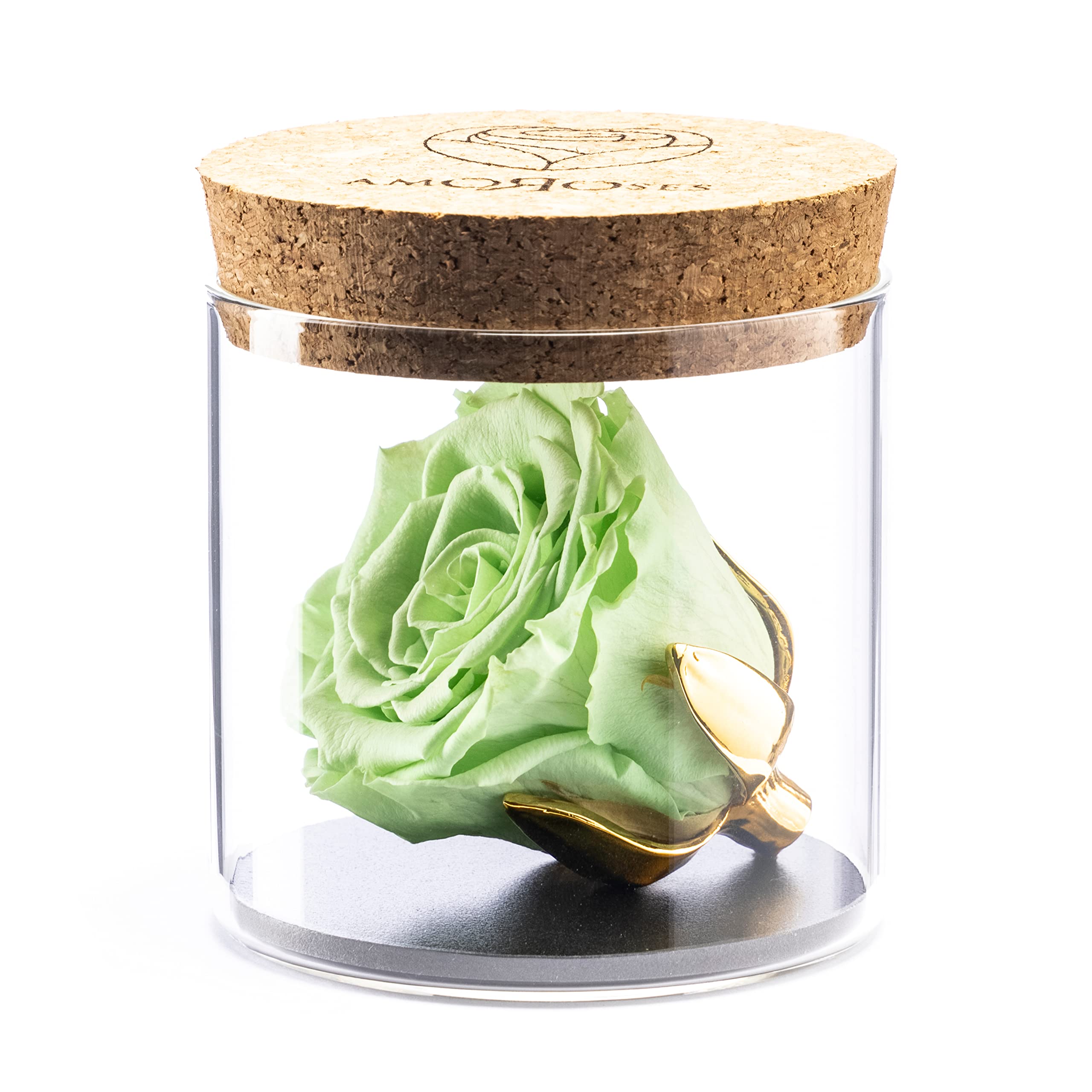 Amoroses Bijou - Eternal Stabilised Rose with 24K Gold Plated Calyx in Glass Jar | Gift Idea (Mint Green Rose)