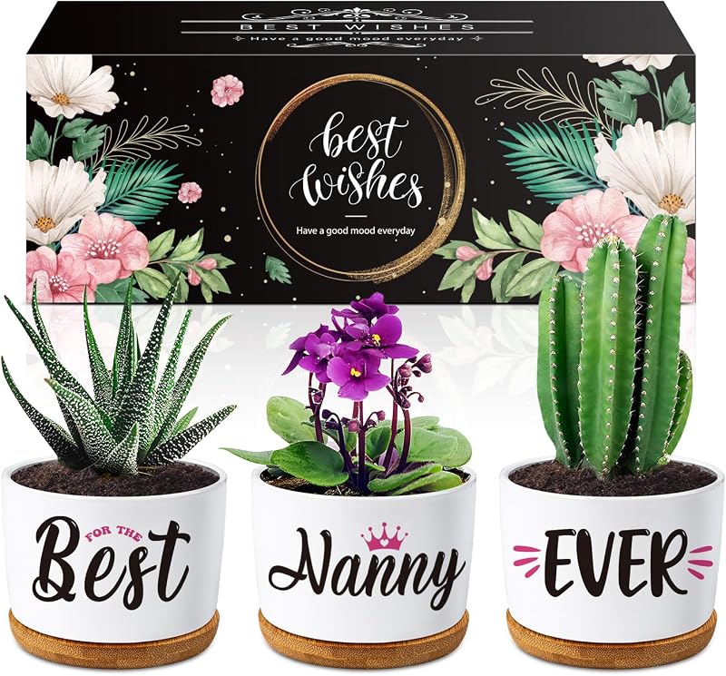 Buioata Nanny Gifts for Nana Succulent Plant Pots 3 Pack Ceramic Planters