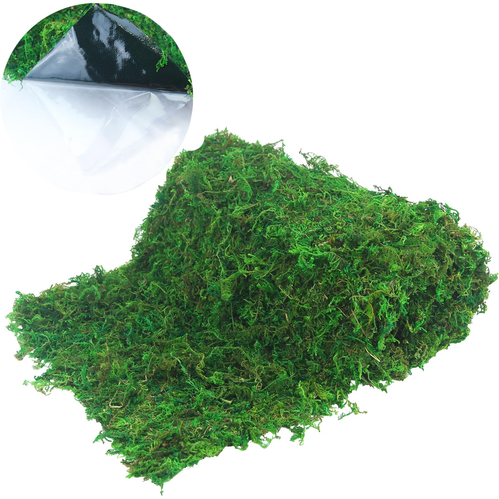 Photo 1 of ACRYCS Moss Roll Moss Table Runner Dried Moss Mat for Crafts 12" x 71" Green Moss Roll for Fairy Gardens Wedding Woodland Decor Preserved Moss Mat for Table Decoration Moss Carpet for Wall 30x180 cm
